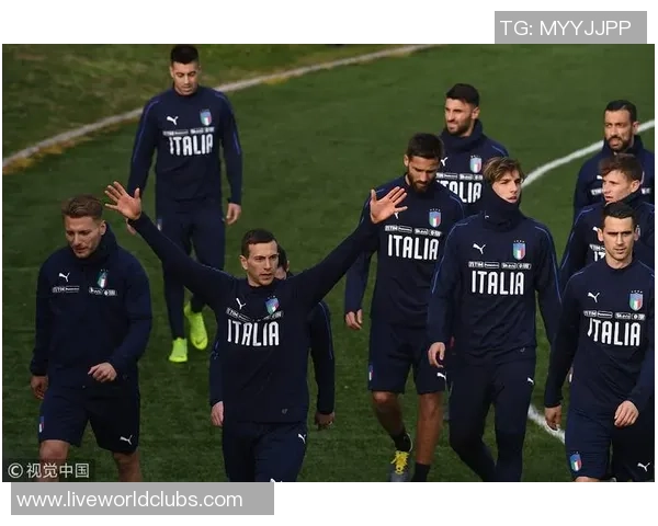 意大利与芬兰比赛后球员表现评分分析及精彩瞬间回顾